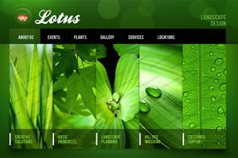 運(yùn)用色輪原理優(yōu)化北京網(wǎng)站建設(shè)中的網(wǎng)頁(yè)設(shè)計(jì)